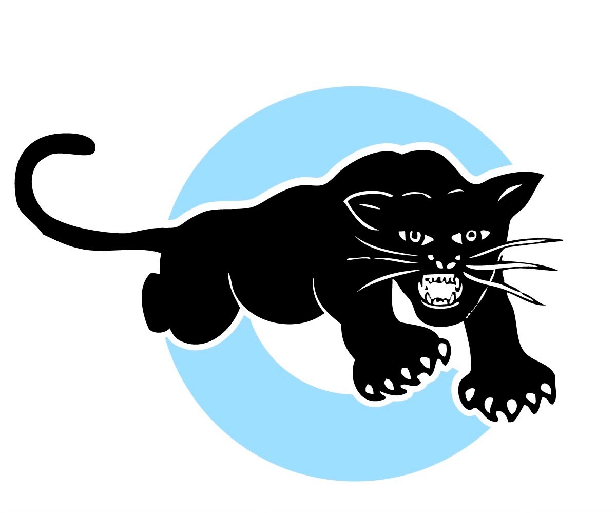 Black Panther Party Cubs